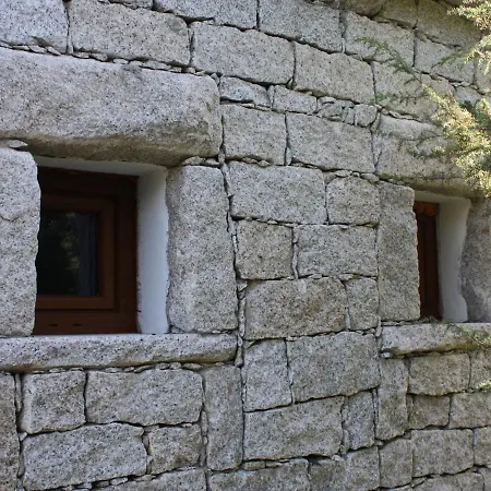 Mare Di Ginepri