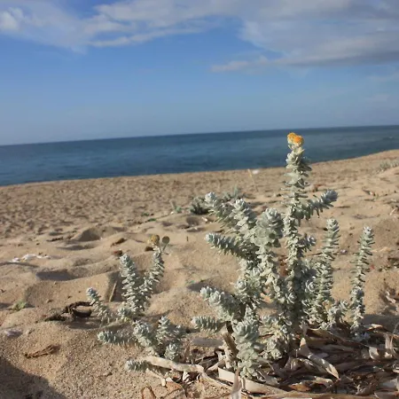 Mare Di Ginepri * Badesi